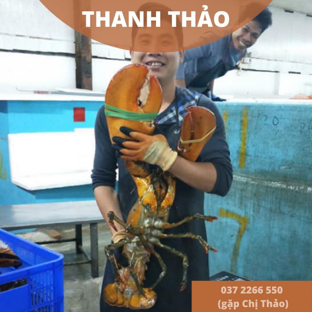  Bên cạnh dịch vụ nấu ăn tận nơi tại nhà khách hàng. Thanh Thảo cung cấp các loại thực phẩm tươi sống, đồ rừng, đồ ăn độc lạ... như: Tôm hùm Alaska khổng hồ, Dúi rừng nguyên con, Chồn nguyên ngon, Thịt sóc rừng tươi, Thịt nhím - nhím sống, các loại rắn, hải sản tươi sống Vũng Tàu, rau củ đà lạt tươi, thịt heo tươi, thịt dê tươi thịt hoặc nguyên con, vịt tươi (làm sẵn) Bàu Cạn, thịt gà thả vườn, gà đá Đồng Nai,....