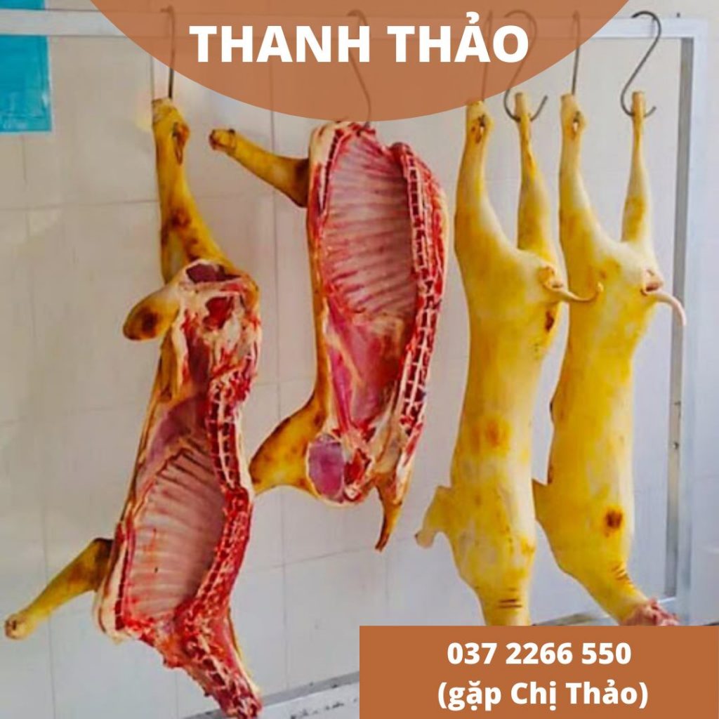  Bên cạnh dịch vụ nấu ăn tận nơi tại nhà khách hàng. Thanh Thảo cung cấp các loại thực phẩm tươi sống, đồ rừng, đồ ăn độc lạ... như: Tôm hùm Alaska khổng hồ, Dúi rừng nguyên con, Chồn nguyên ngon, Thịt sóc rừng tươi, Thịt nhím - nhím sống, các loại rắn, hải sản tươi sống Vũng Tàu, rau củ đà lạt tươi, thịt heo tươi, thịt dê tươi thịt hoặc nguyên con, vịt tươi (làm sẵn) Bàu Cạn, thịt gà thả vườn, gà đá Đồng Nai,....